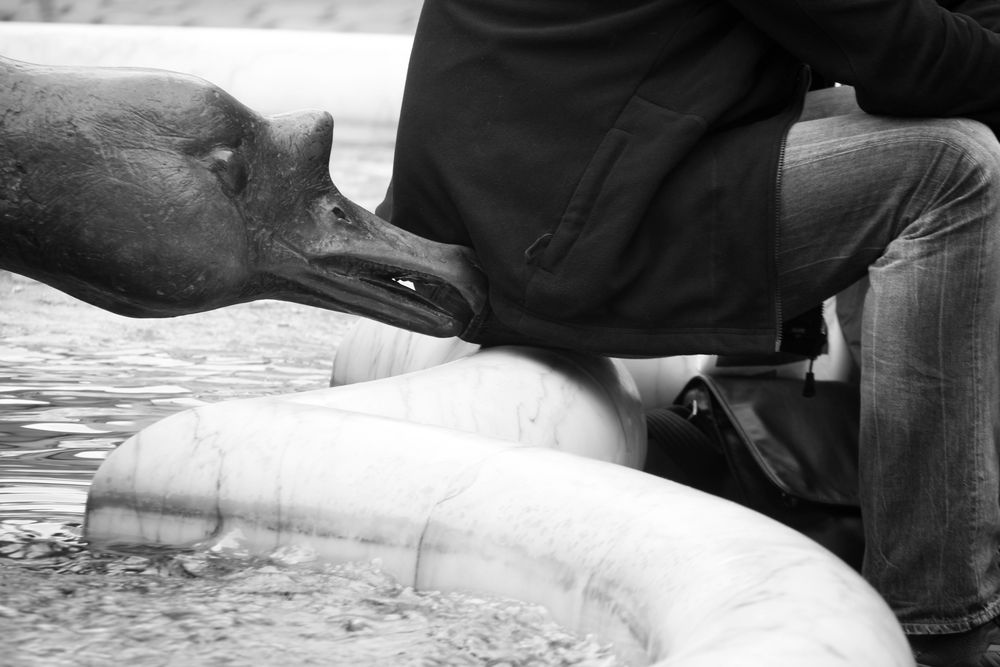 Fountain street photography  