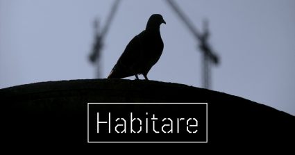 Textos para la exposición "Habitáre" (5-18 octubre en Bilbaoarte) exposición blackkamera bilbaoarte  
