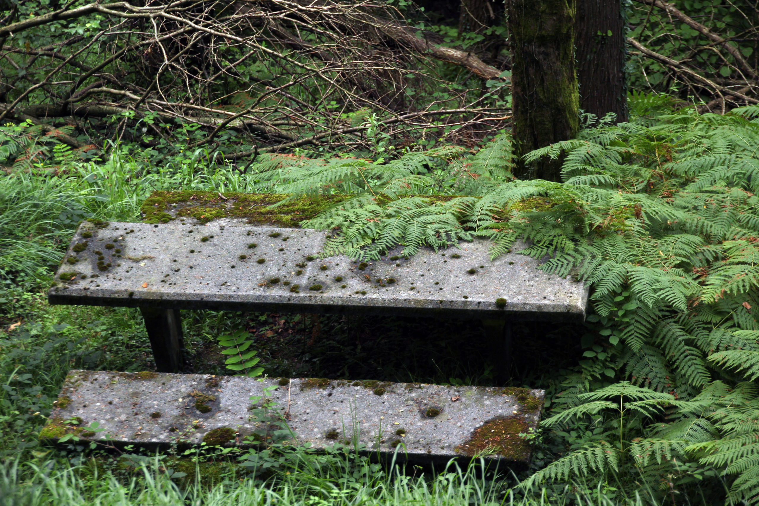 Muga lausoa Muga lausoa