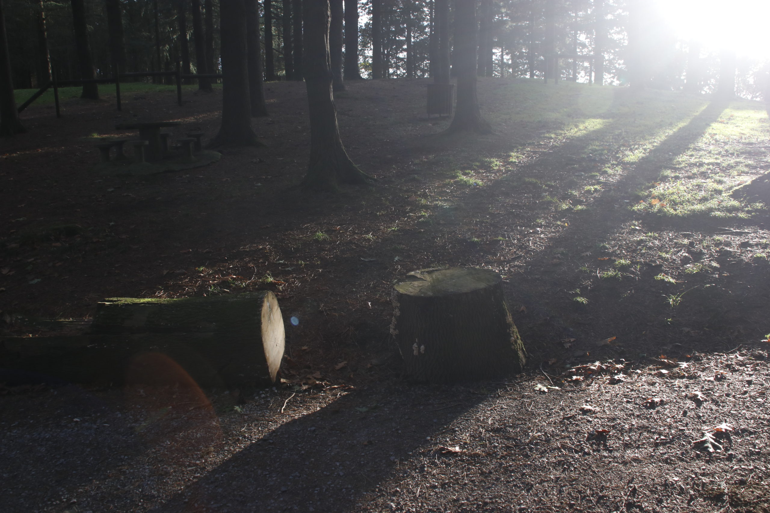 Muga lausoa Muga lausoa