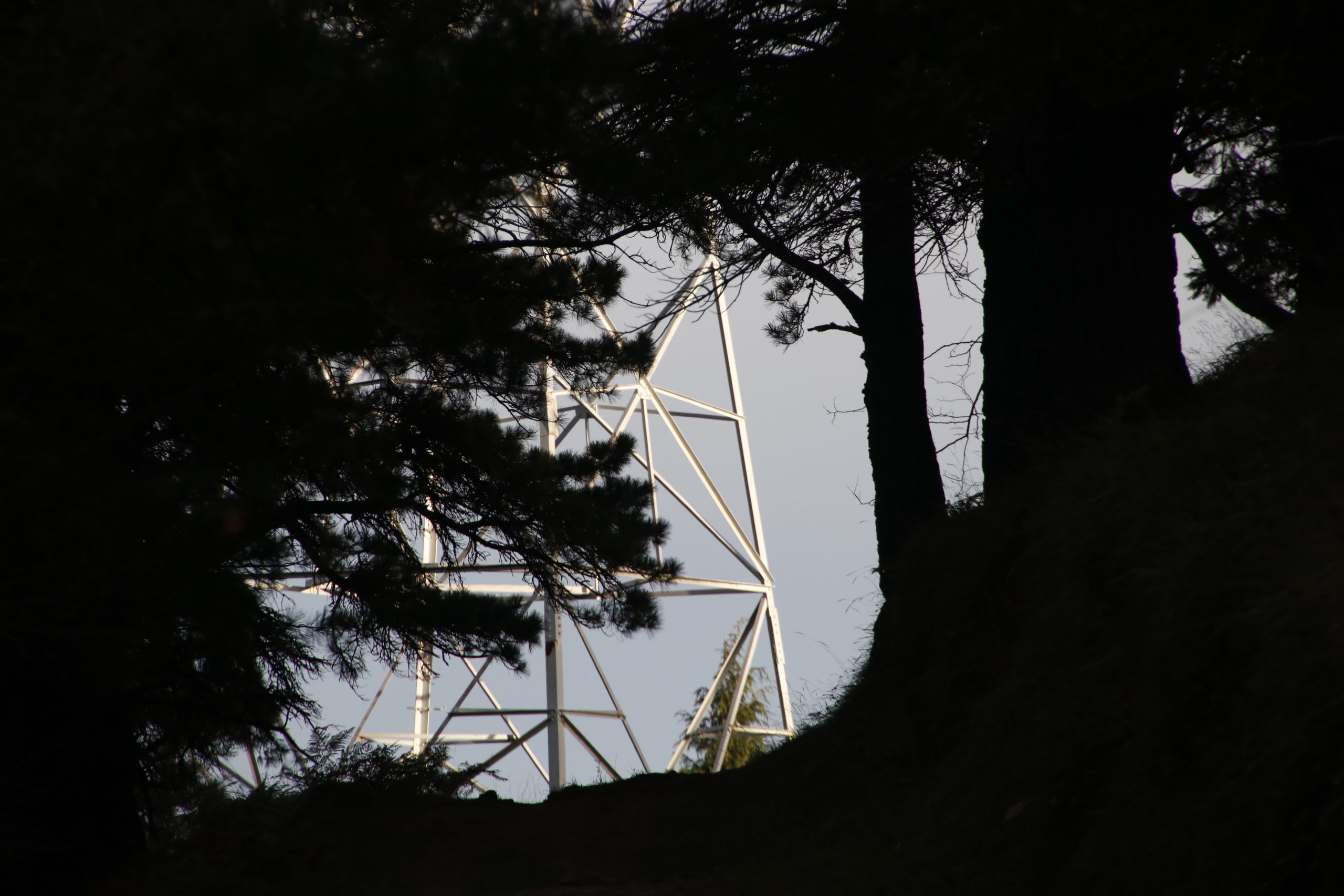 Muga lausoa Muga lausoa