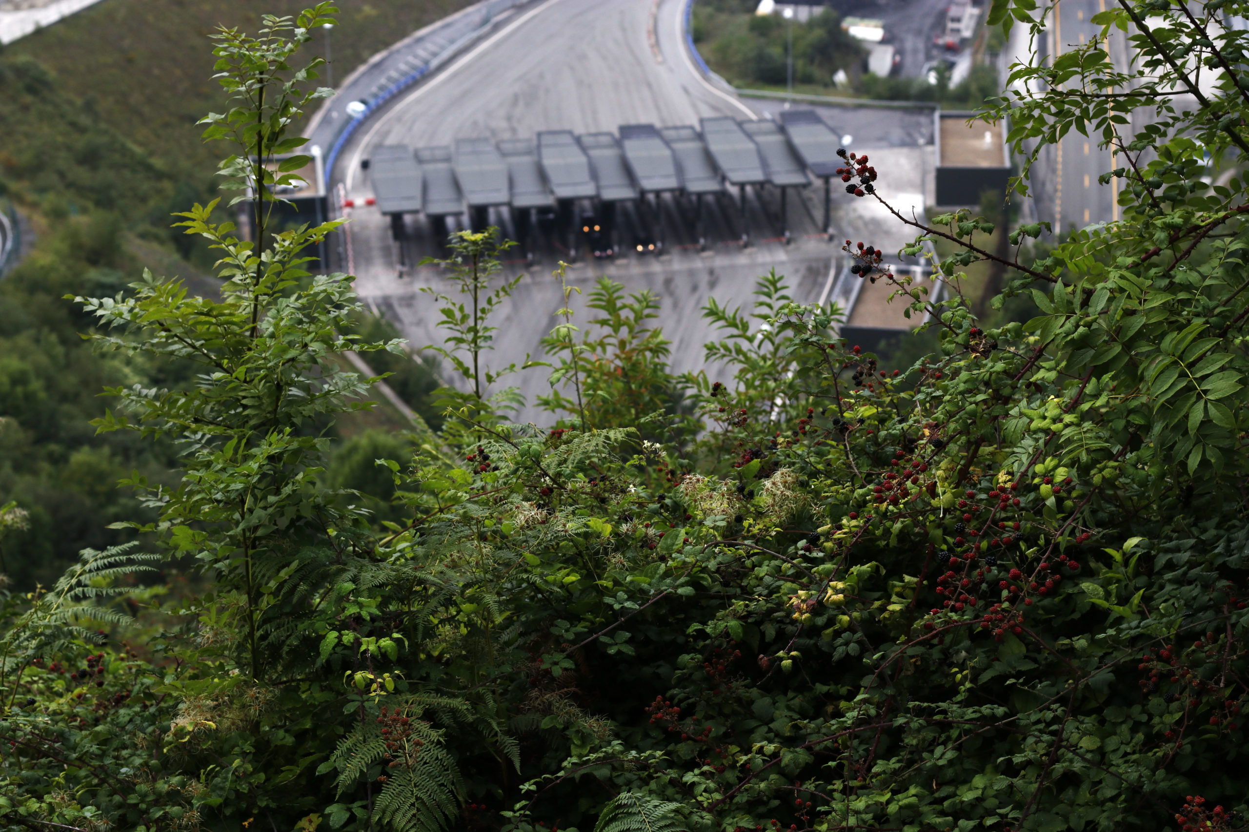 Muga lausoa Muga lausoa