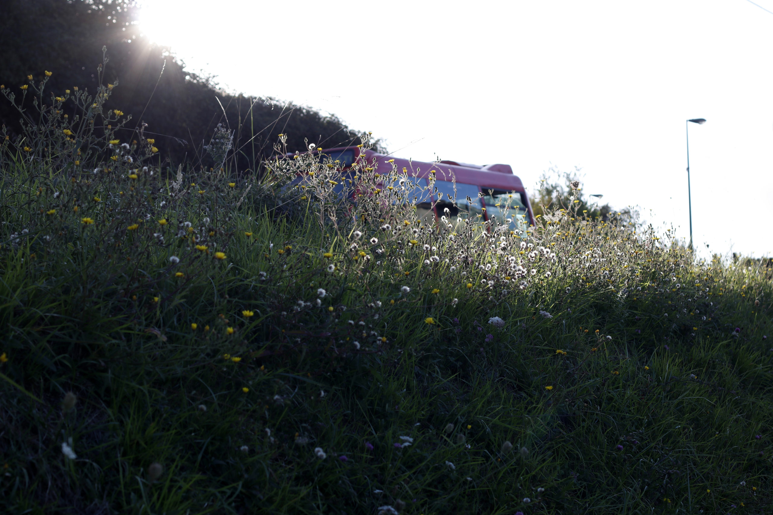 Muga lausoa Muga lausoa