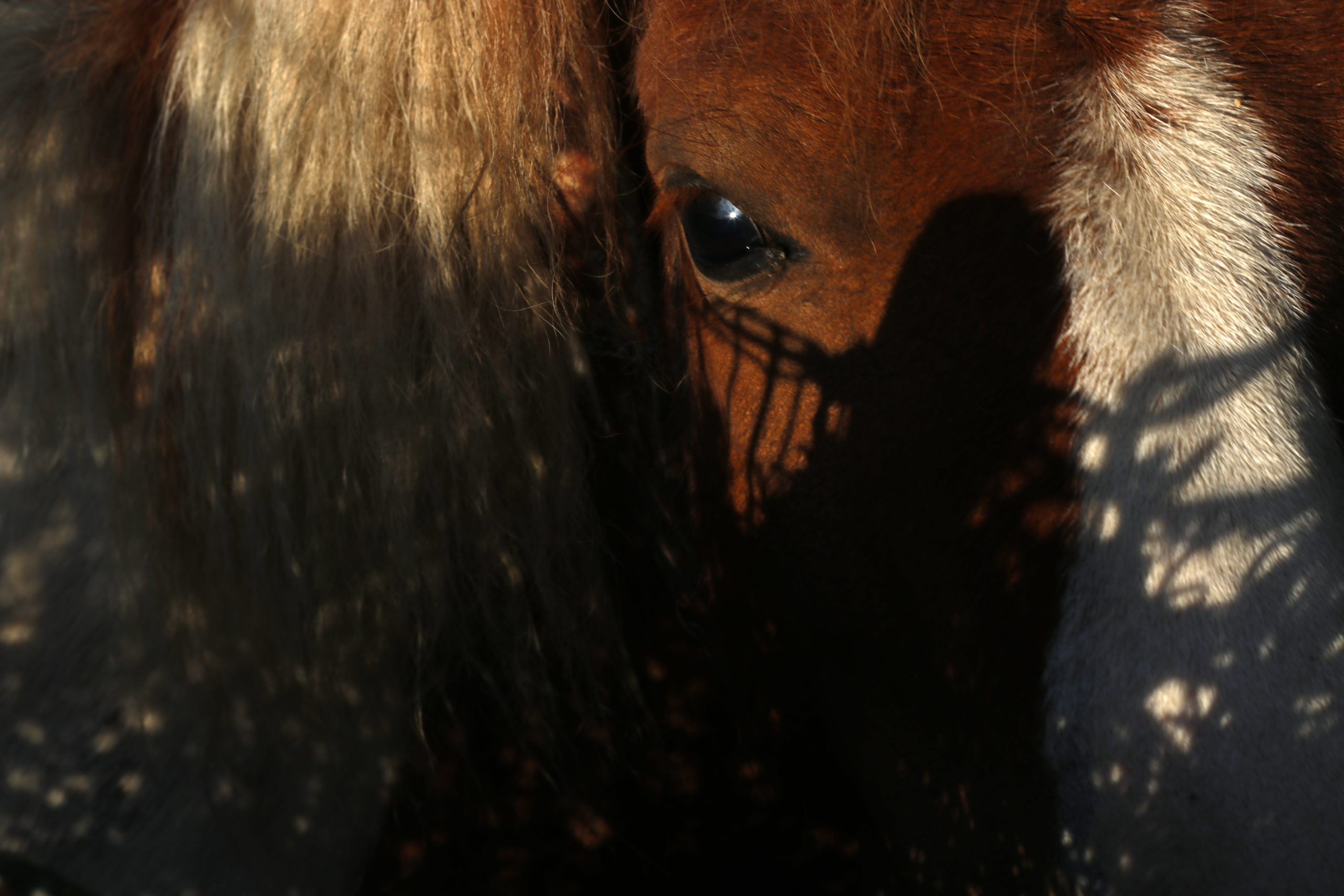 Muga lausoa Muga lausoa