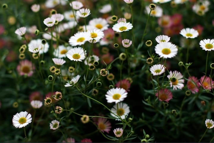 Spring will not wait  